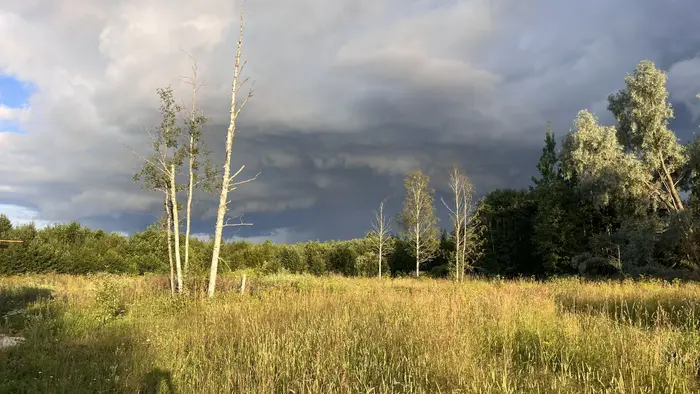 Mesipesa — lomamökit ja pihapiiri, näkymä 6